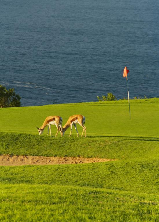 Mossel Bay Golf Lodge Esterno foto